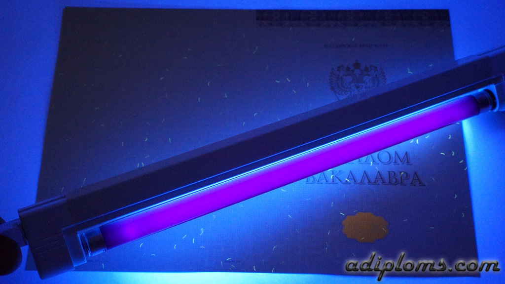 Диплом бакалавра 2014-2026 Фото Диплом бакалавра 2014-2026 Фото