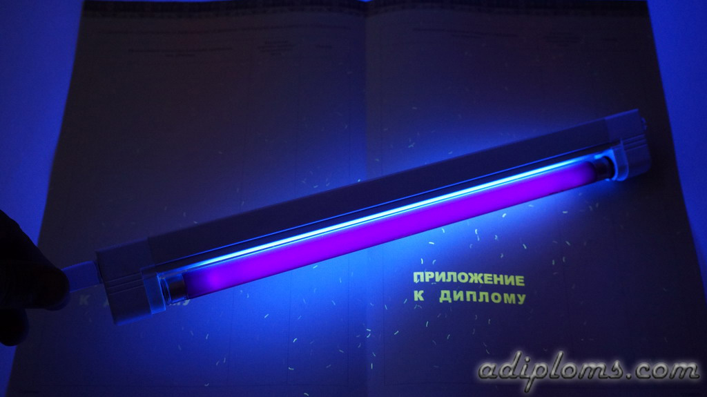 Диплом бакалавра 2014-2026 Фото Диплом бакалавра 2014-2026 Фото