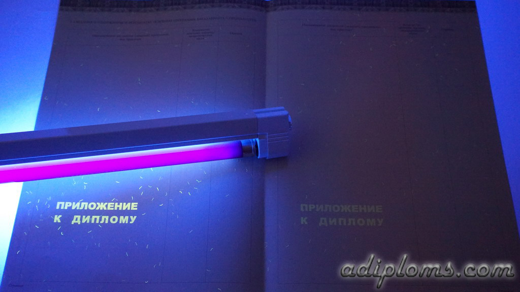 Диплом бакалавра 2014-2026 Фото Диплом бакалавра 2014-2026 Фото